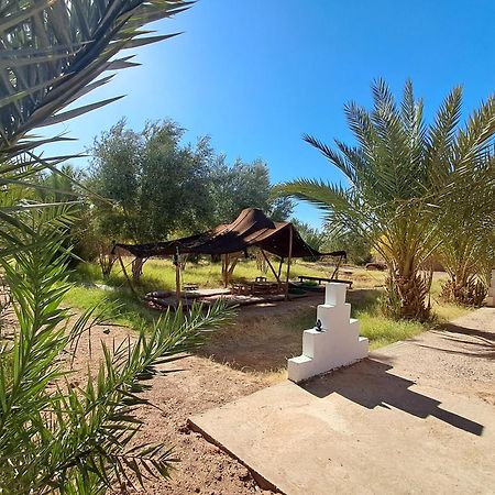 Jardin Du Desert محاميد الغزلان المظهر الخارجي الصورة
