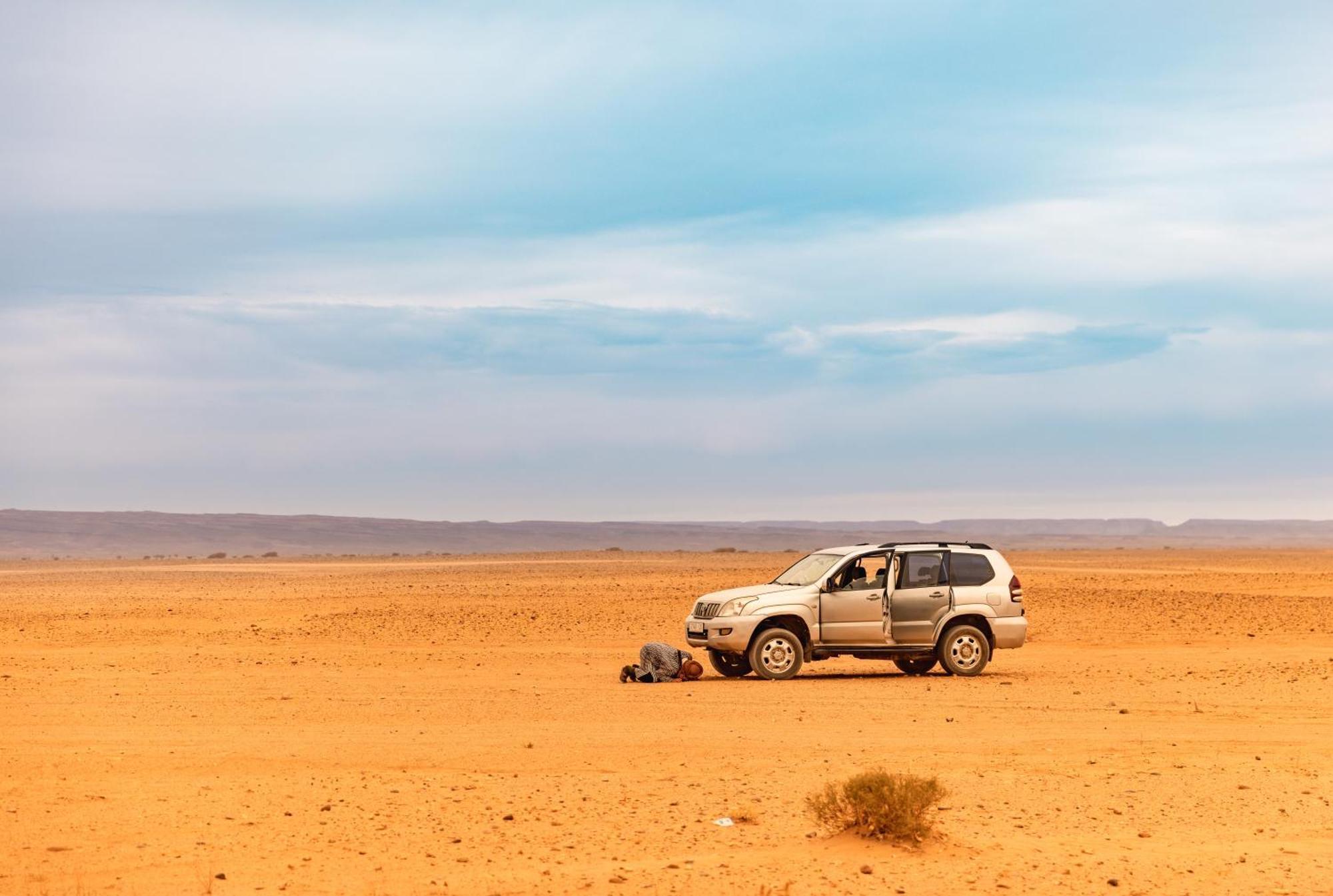 Jardin Du Desert محاميد الغزلان المظهر الخارجي الصورة