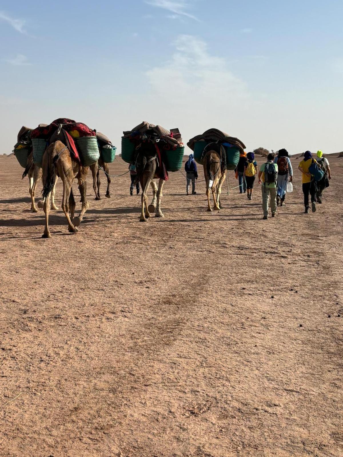 فندق Jardin Du Desert محاميد الغزلان المظهر الخارجي الصورة